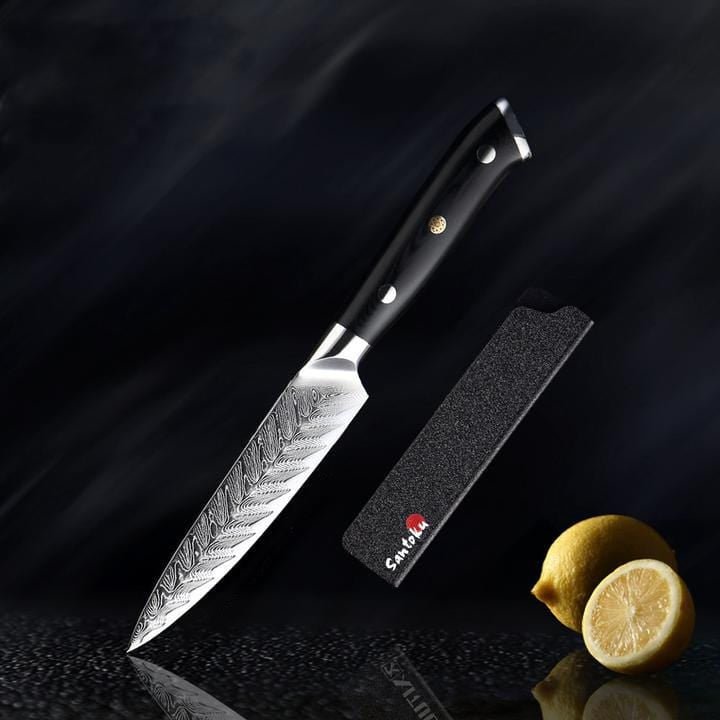 Riku Damascus VG10 Knife